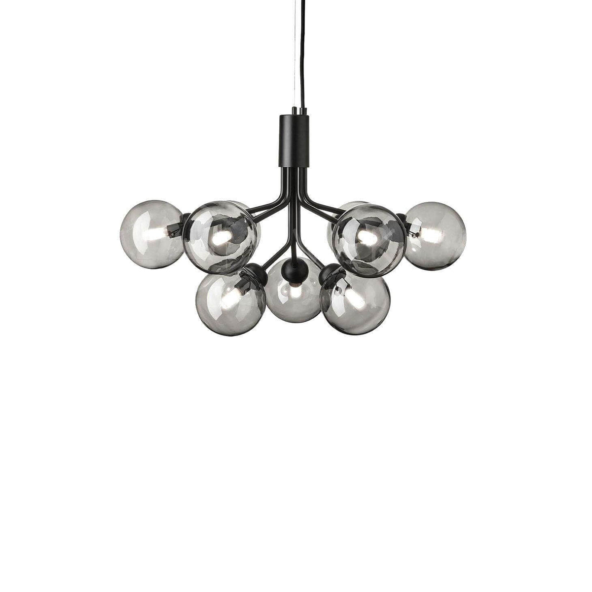 Apiales Chandelier