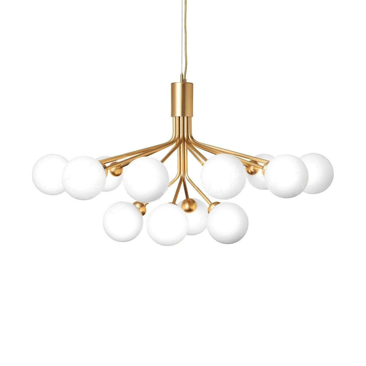 Apiales Chandelier