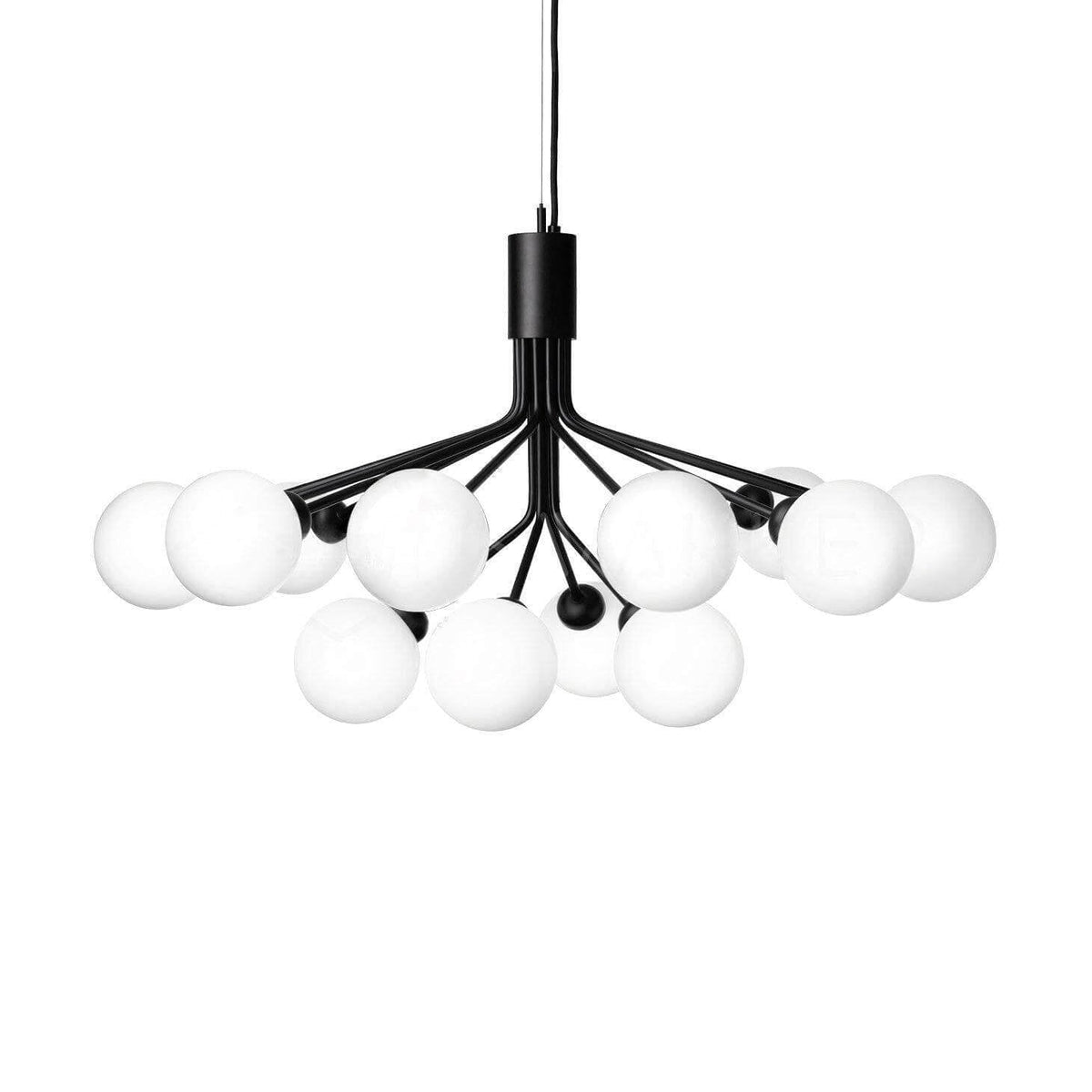 Apiales Chandelier