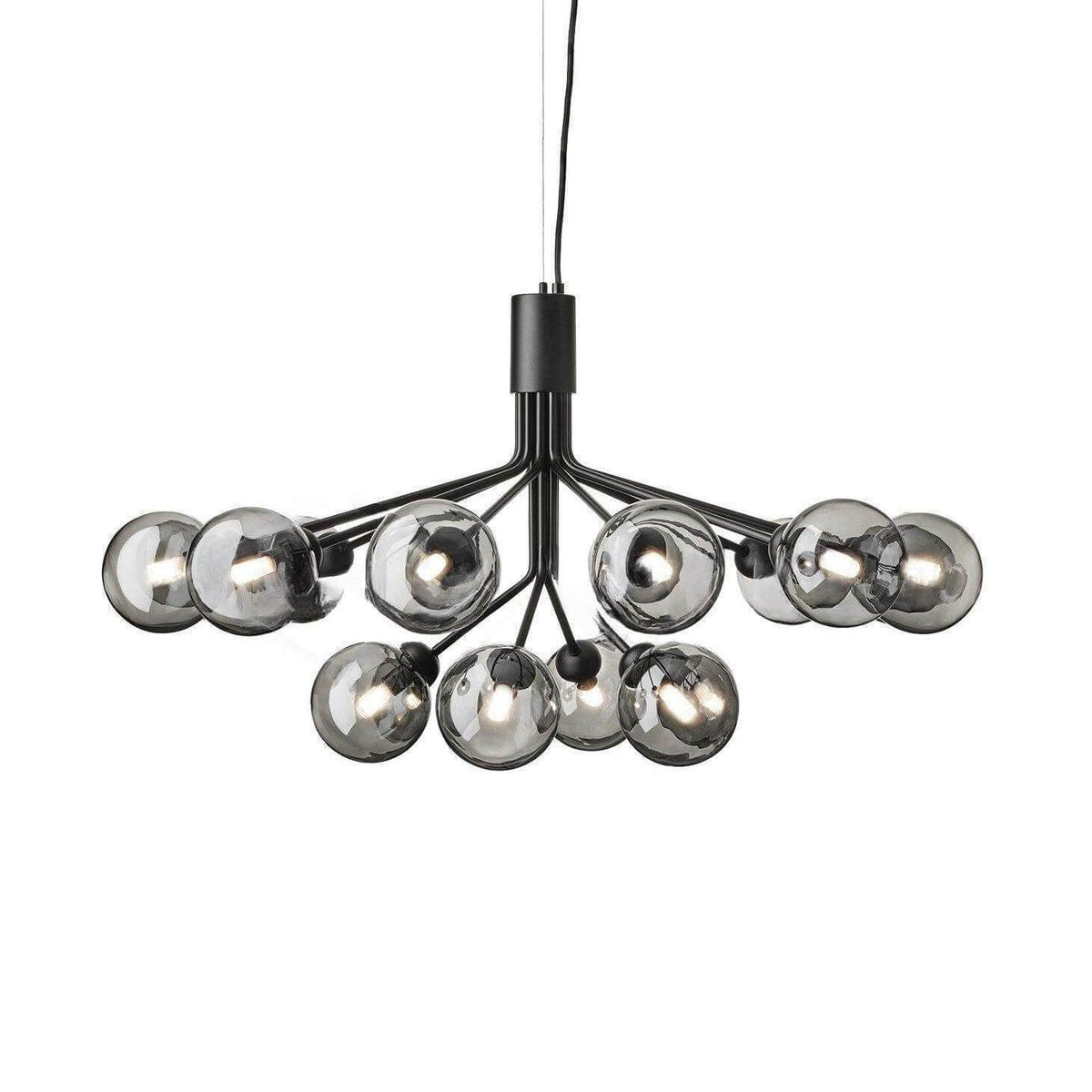 Apiales Chandelier