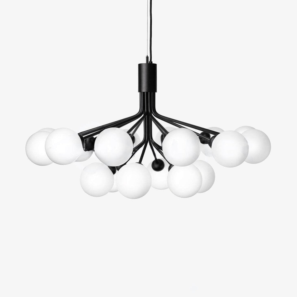 Apiales Chandelier