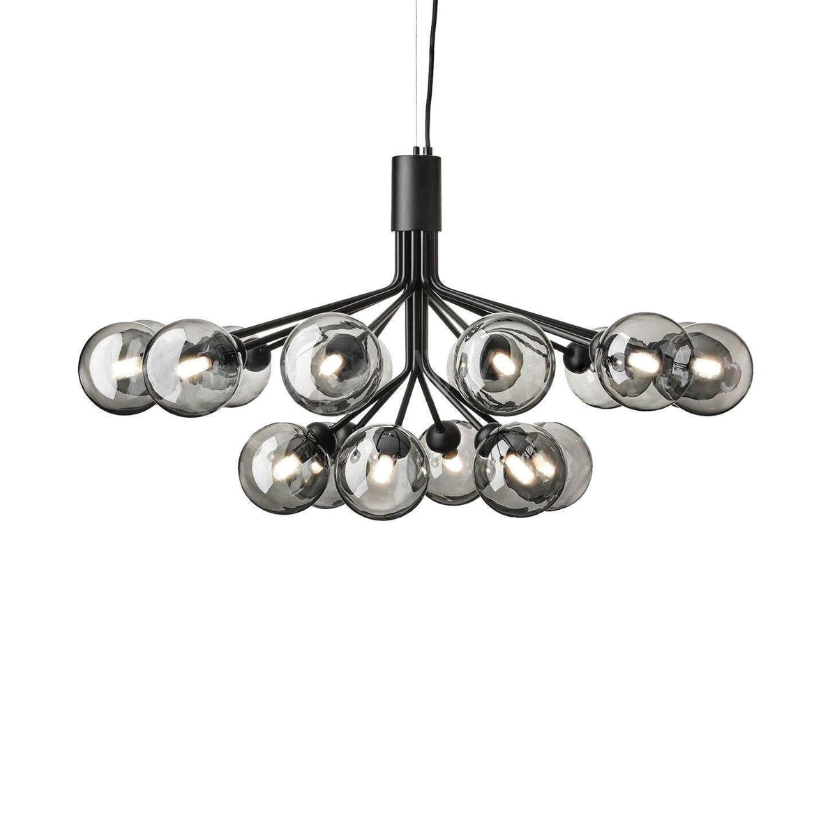 Apiales Chandelier