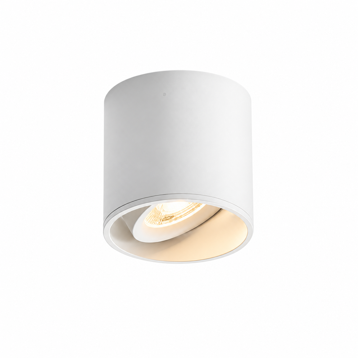 Modupoint Ceiling Light