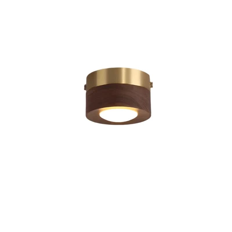 Energy-Saving Walnut Wood LED Lighting Fixture