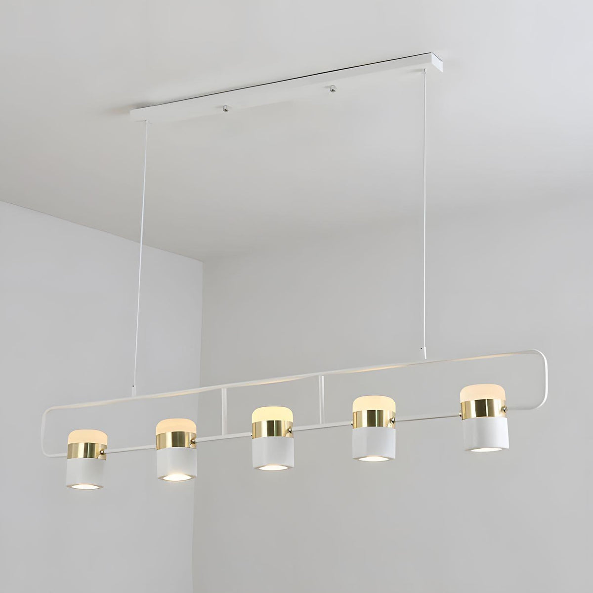 Adjustable Glass Pendant Light