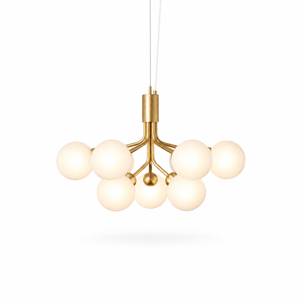 Apiales Chandelier | g0