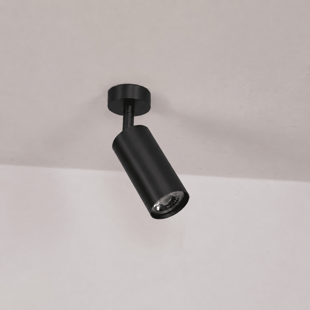 Rotatable Spotlight Wall Light/Ceiling Light