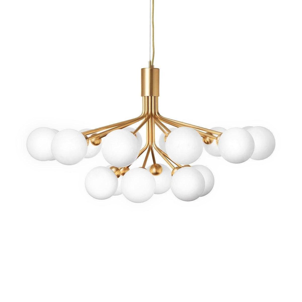 Apiales Chandelier