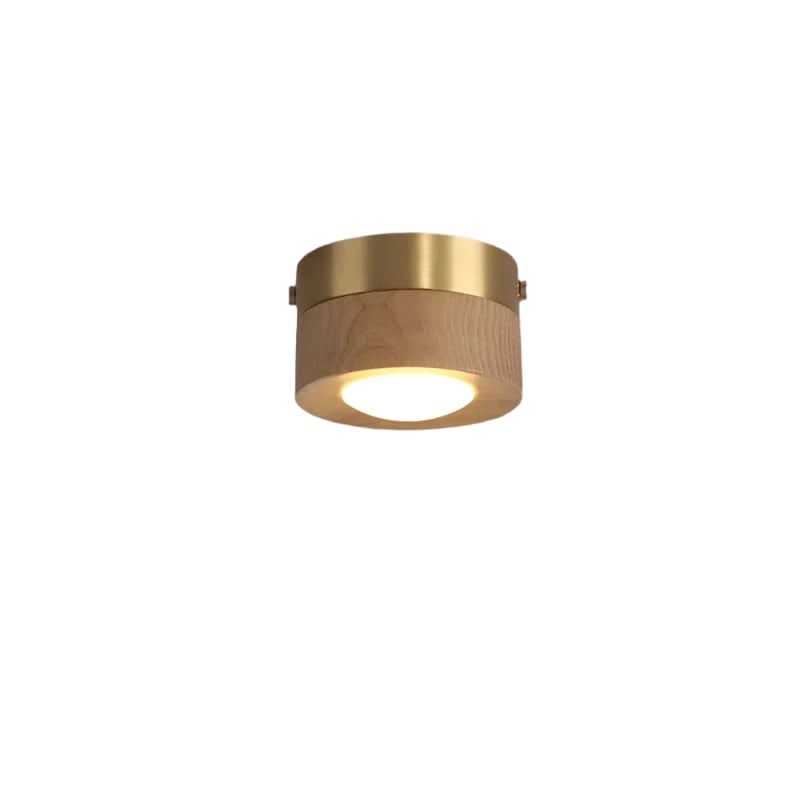 Energy-Saving Walnut Wood LED Lighting Fixture